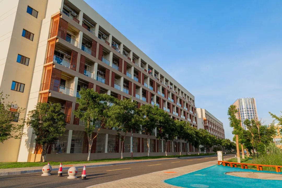 IMG_4141-155.jpg 圖片