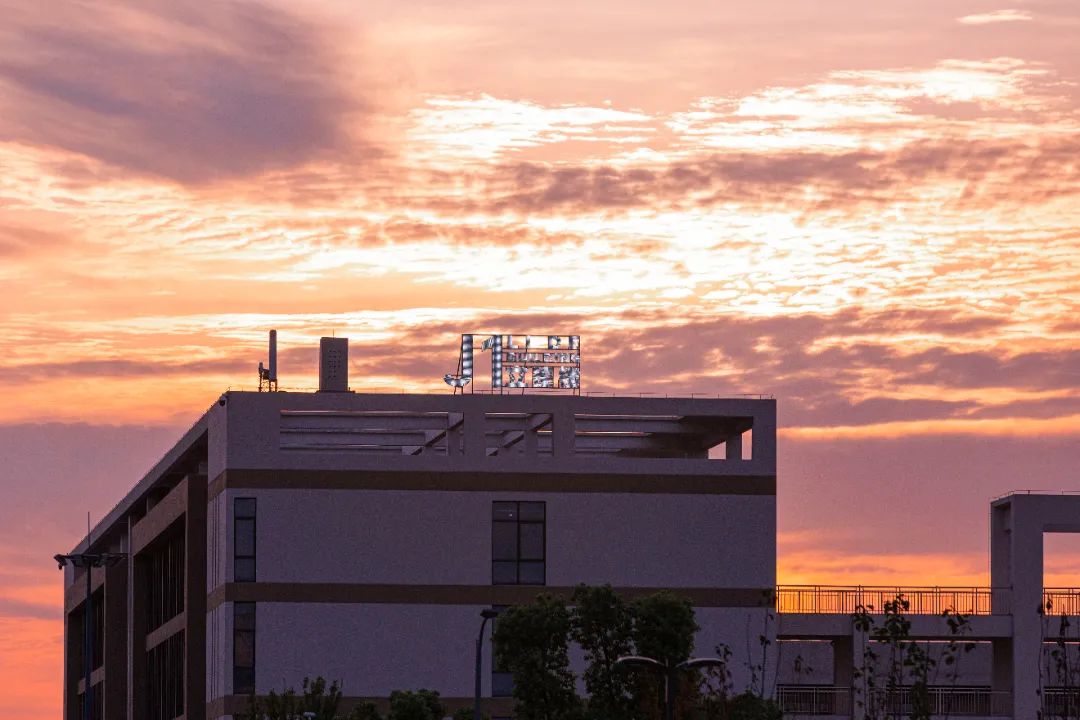 IMG_4251-223.jpg 圖片